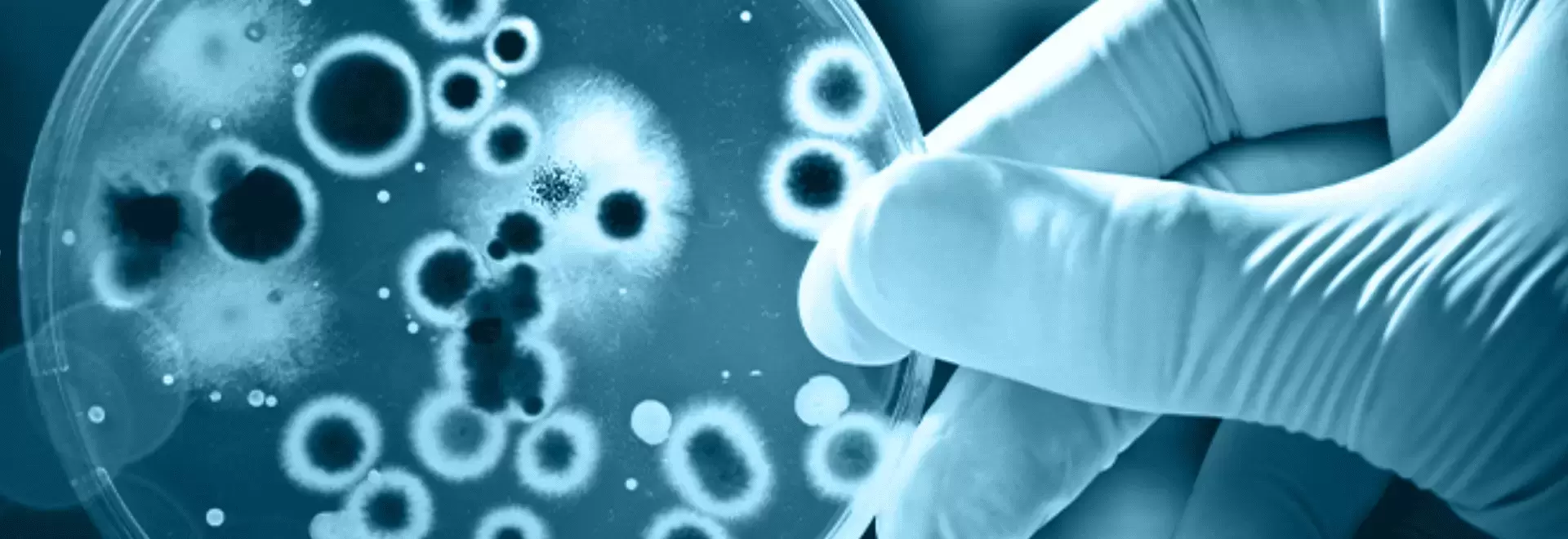 Microbiology